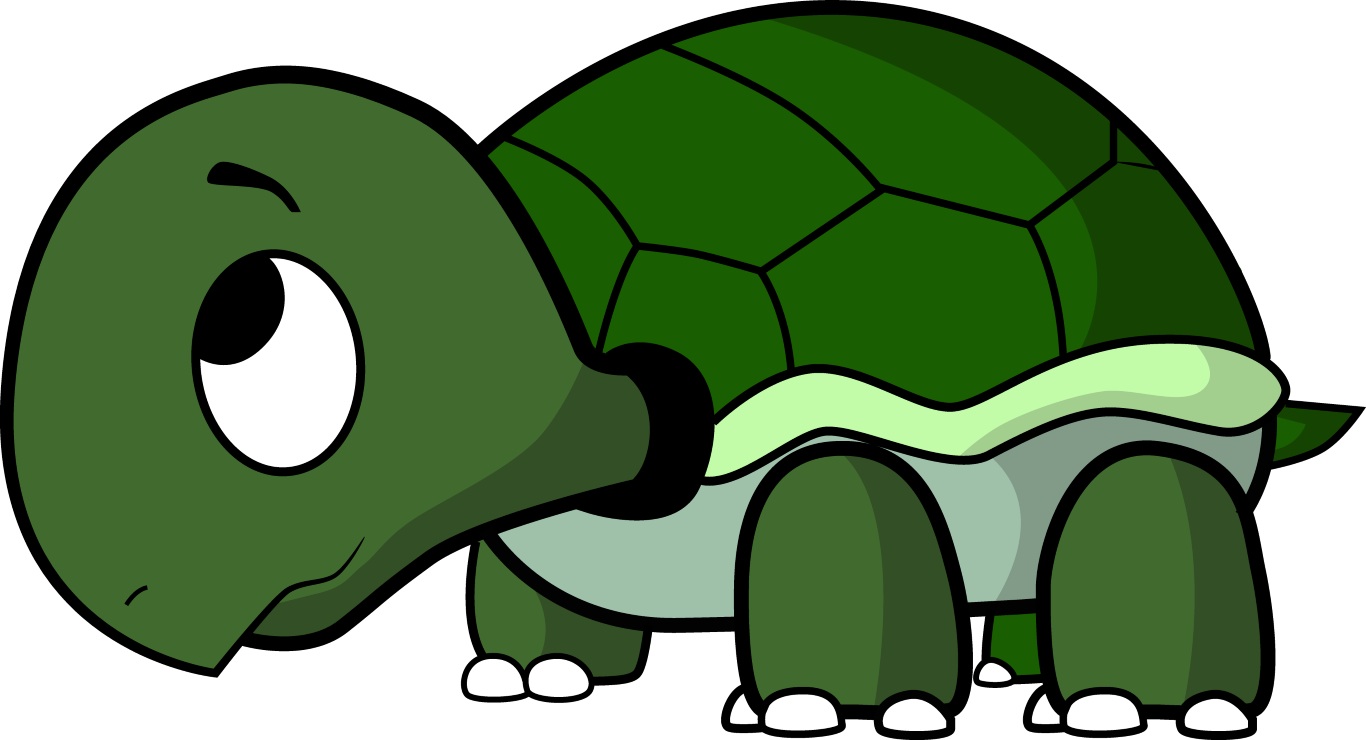 sad turtle